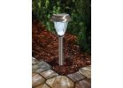 Outdoor Expressions Stainless Steel Solar Path Light Stainless Steel (Pack of 12)