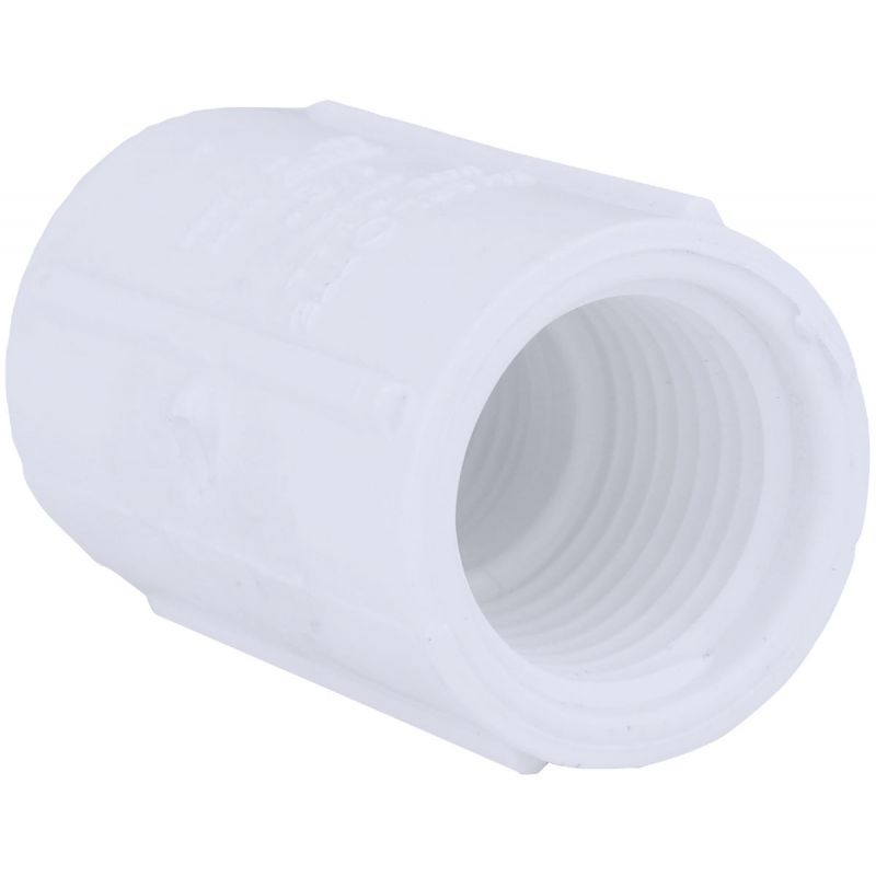 Charlotte Pipe Schedule 40 Threaded PVC Coupling