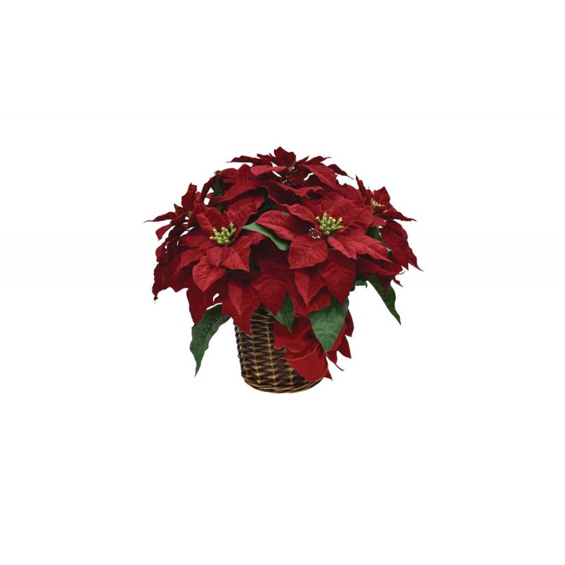 16 In. Poinsettia Regal Red (Pack of 4)