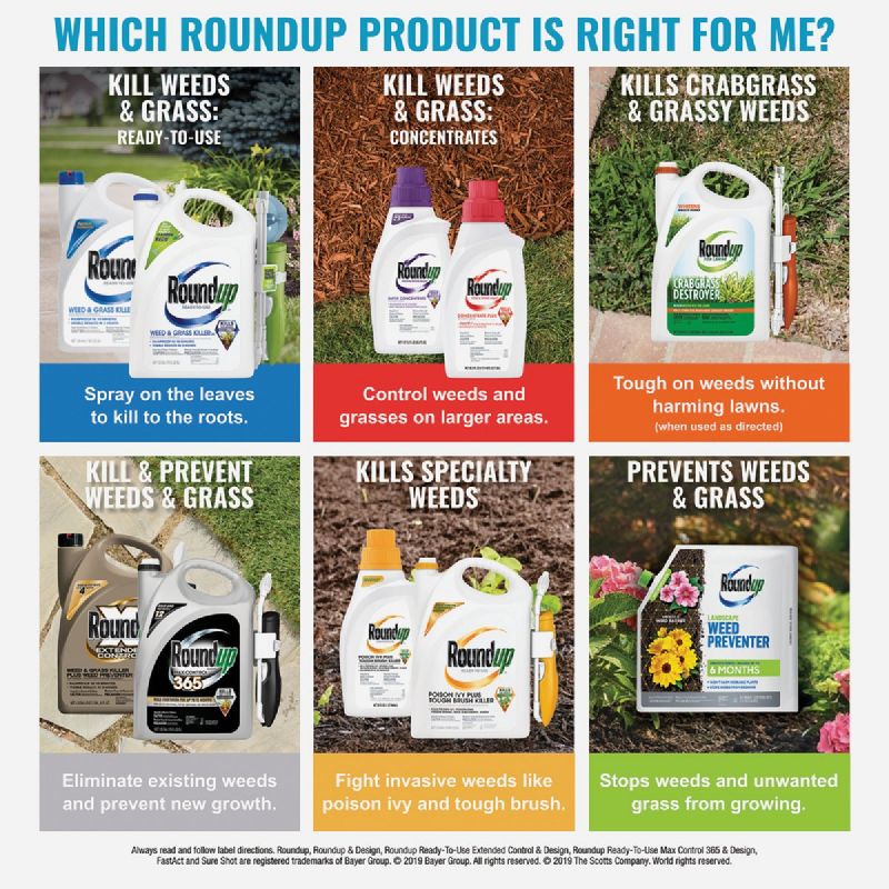 Roundup Extended Control Weed &amp; Grass Killer Plus Weed Preventer 32 Oz., Pourable