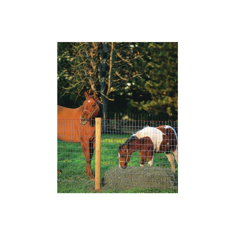 Red Brand Square Deal Tradition 70318 Horse Fence, 100 ft L, 72 in H, Non-Climb Mesh, 2 x 4 in Mesh, 12.5 ga Gauge