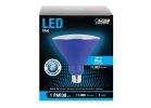 Feit Electric PAR38/B/10KLED/BX LED Bulb, Flood/Spotlight, PAR38 Lamp, E26 Lamp Base, Blue Light (Pack of 4)