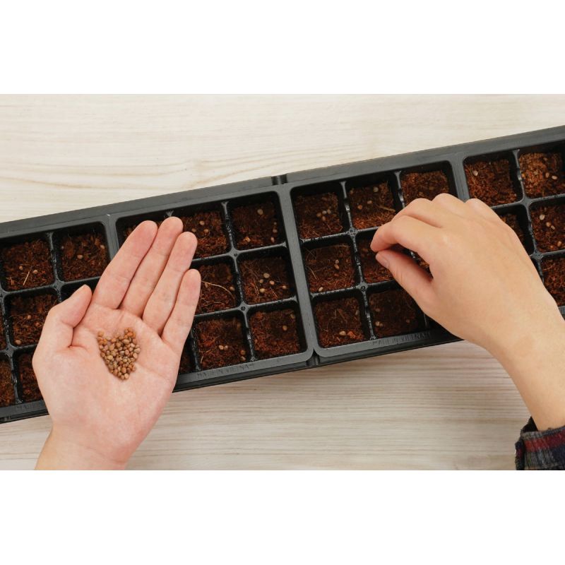 PlantBest Windowsill Seed Starter Kit