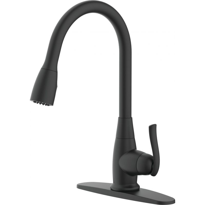Home Impressions Quick Connect Pull-Down Kitchen Faucet