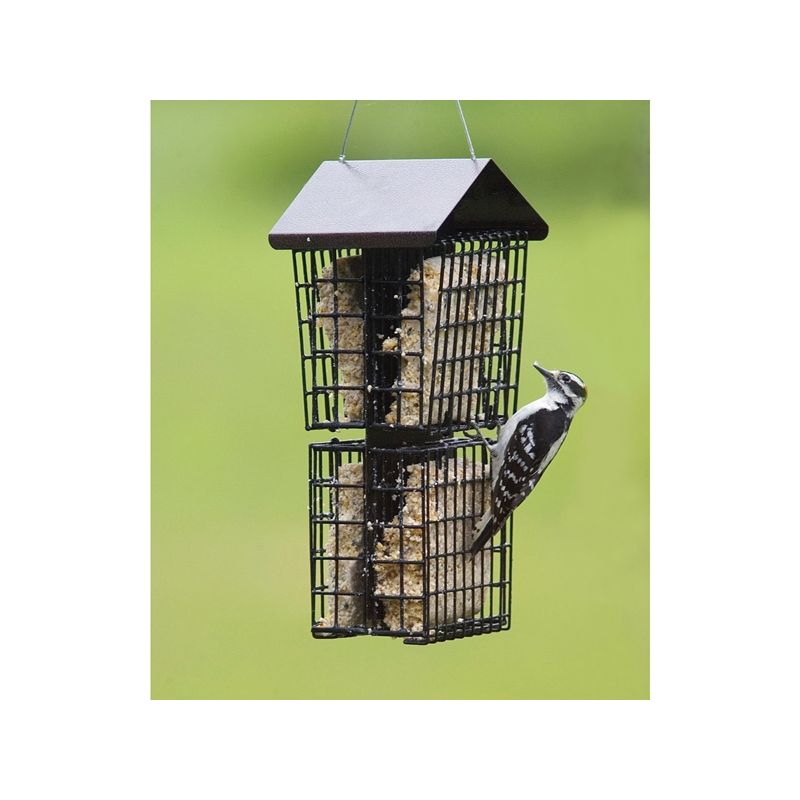 Stokes Select 38129 Suet Buffet Bird Feeder, Solid Steel, 12.3 in H (Pack of 2)