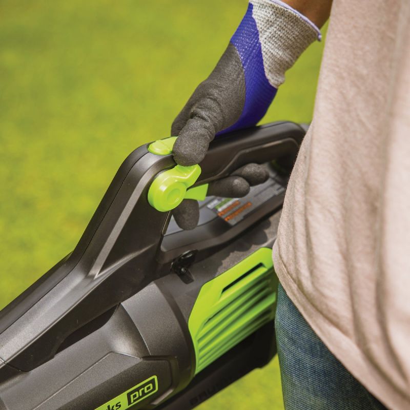 Greenworks Cordless Blower w/Rapid Charger