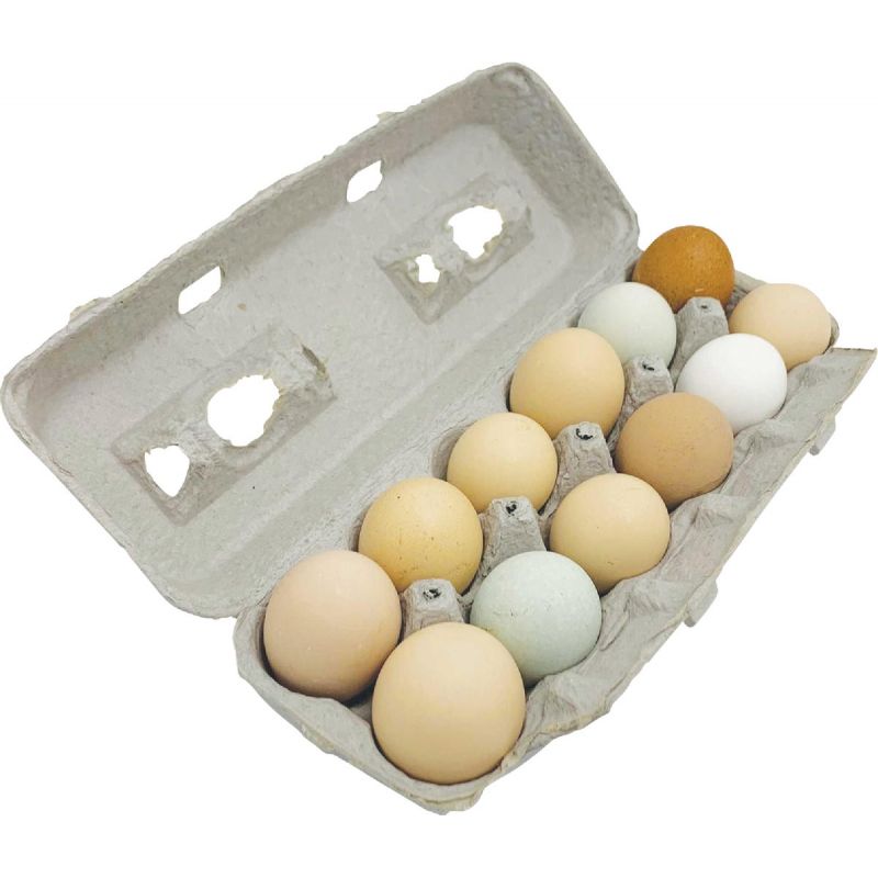 Stromberg&#039;s Blank Egg Carton Gray
