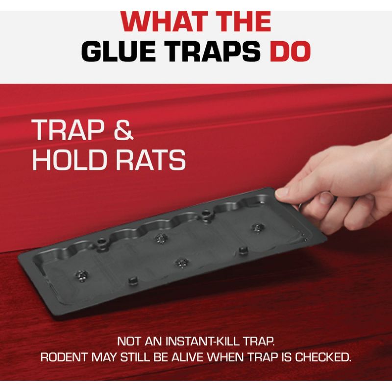 Tomcat Mouse &amp; Rat Trap