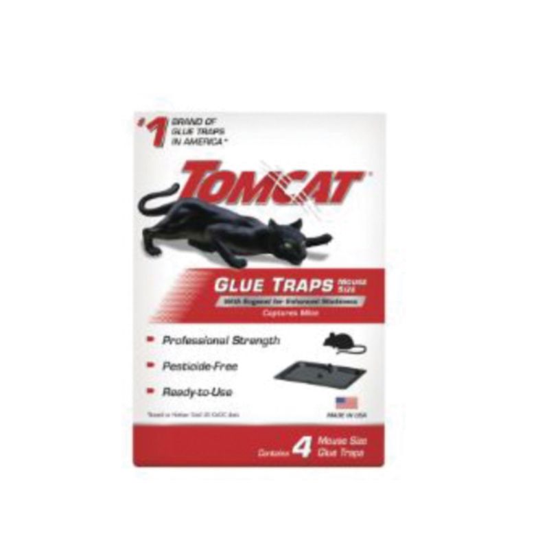 Buy Tomcat 0362310 Mouse Glue Trap (Pack of 12)