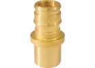 Conbraco Brass Insert Fitting MSWT Adapter Type A 1/2 In. PEX A X 1/2 In. MSWT
