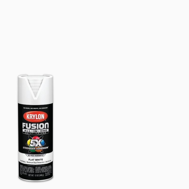 Krylon Fusion All-In-One Spray Paint &amp; Primer White, 12 Oz.