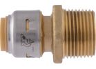 SharkBite Push-to-Connect Brass Male Adapter