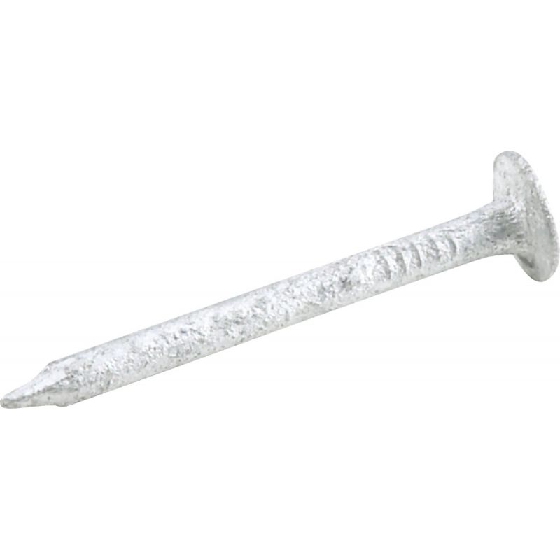 Grip-Rite Hot Galvanized Roofing Nail 8d