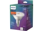 Philips Motion &amp; Daylight Sensor PAR38 LED Floodlight Light Bulb