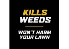 Ortho WeedClear Lawn Weed Killer 32 Oz., Hose End