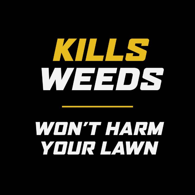 Ortho WeedClear Lawn Weed Killer 1 Gal., Wand Sprayer