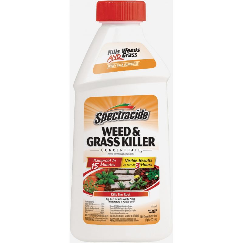 Spectracide Weed &amp; Grass Killer2 16 Oz., Pour