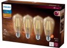 Philips ST19 Medium Amber LED Decorative Light Bulb