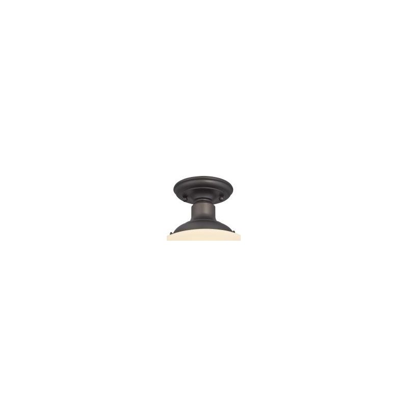 Westinghouse 6342200 Ceiling Light Fixture, 120 V, 60 W, 1-Lamp, Incandescent, LED Lamp, Steel Fixture