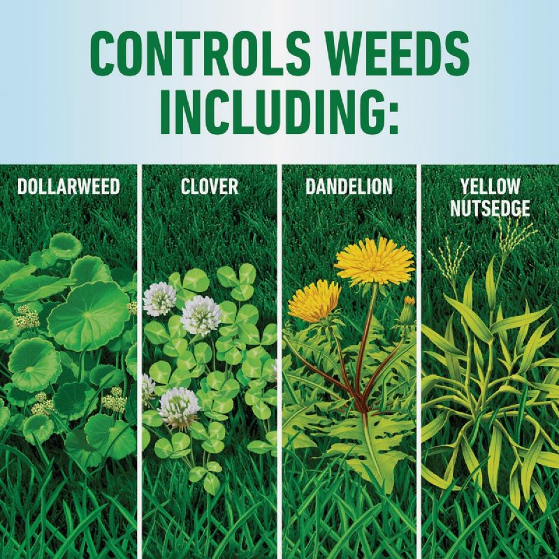 Roundup For Lawns Southern Formula Weed Killer 1 Gal., Wand Sprayer