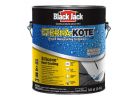 Black Jack ETERNA-KOTE 5576-1-20 Roof Coating, White, 1 gal, Liquid White (Pack of 4)