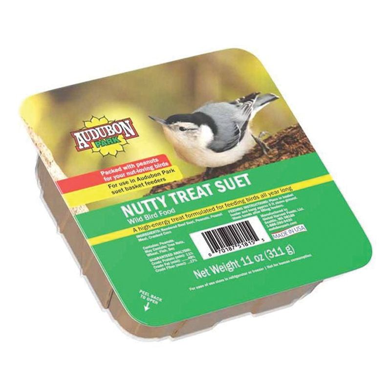 Audubon Park 13064 Nutty Treat Suet 11 oz (Pack of 12)