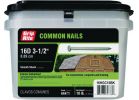 Grip-Rite Hot Galvanized Common Nail 16d