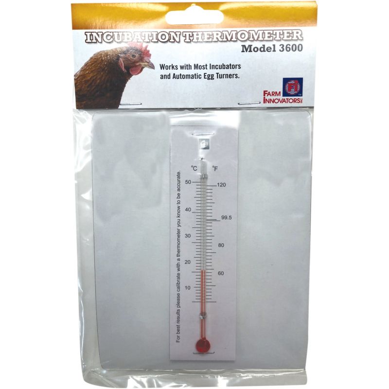 Baby Chickens Small Thermometer, Brooder Equipment