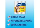 Charmin Essentials Strong 97342 Toilet Paper, Paper