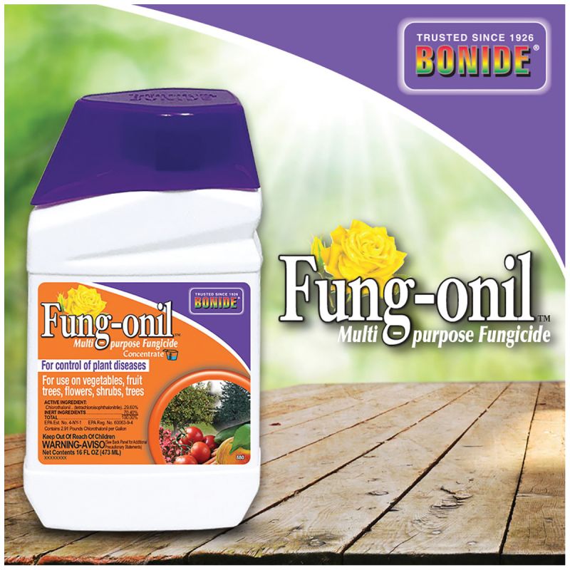 Bonide Fung-onil 880 Fungicide, Liquid, Minimal, White, 1 pt White