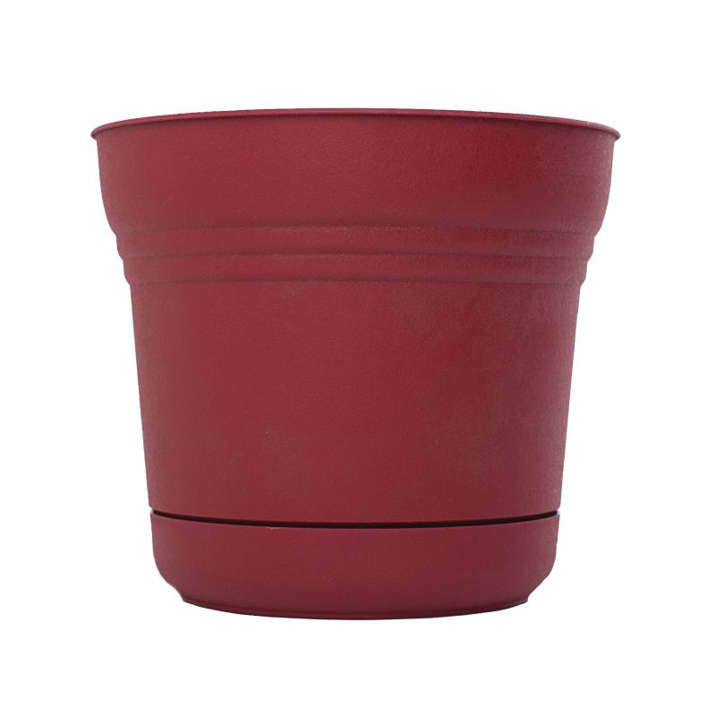 Bloem SP0512 Planter, 5 in H, 4-1/2 in W, Polypropylene, Union Red Union Red