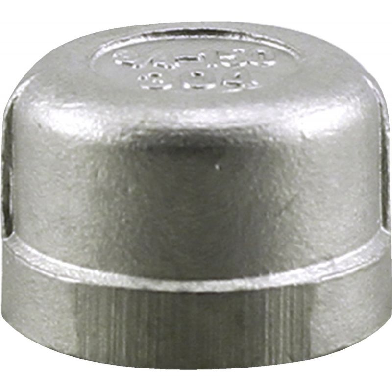 PLUMB-EEZE Stainless Steel Cap 1 In. FIP