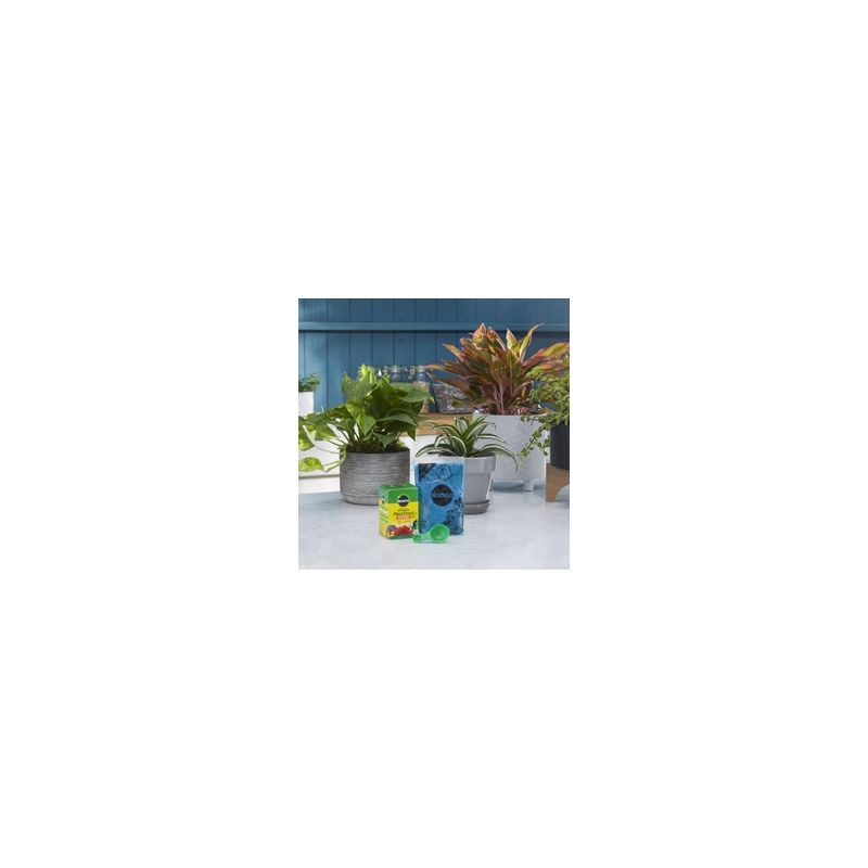 Miracle-Gro 1000283 All-Purpose Plant Food, 3 lb Box, Solid, 24-8-16 N-P-K Ratio Pantone Blue