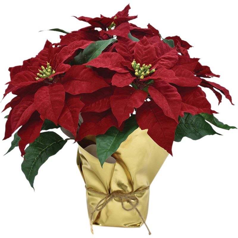 17 In. Poinsettia Regal Red (Pack of 4)