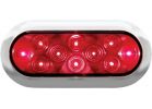Peterson Stop and Tail Light