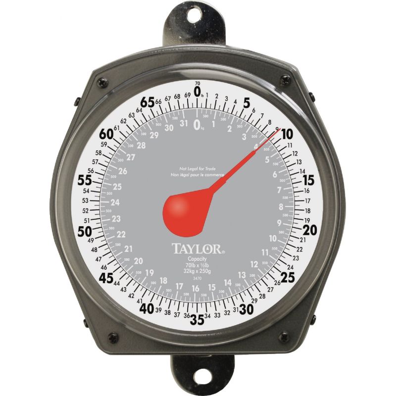Taylor Dial Hanging Scale 70 Lb.