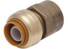 SharkBite Push-to-Connect Brass Female Adapter 1/2 In. X 1/2 In. FNPT