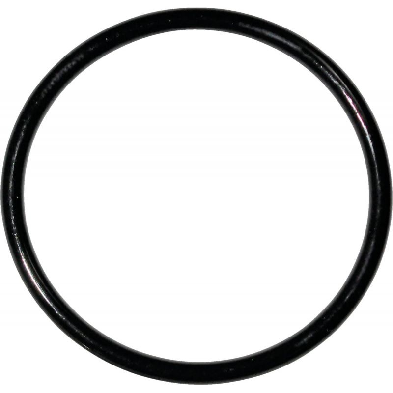 Danco Buna-N O-Ring #50, Black (Pack of 5)