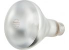 Philips DuraMax BR30 Incandescent Spotlight Light Bulb