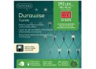 Lumineo Durawise LED Battery Operated Net Light Set