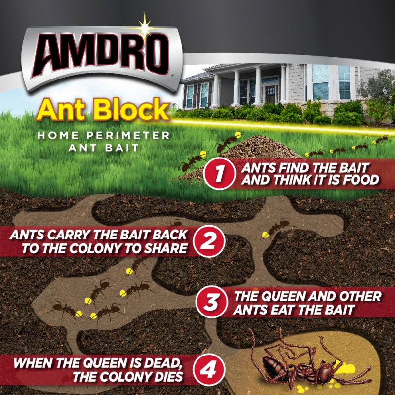 Amdro 100099307 Home Perimeter Ant Bait Block, Solid, 12 oz Bottle Tan/Yellow