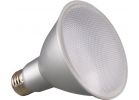 Satco Nuvo PAR30 Long Neck Medium Dimmable LED Floodlight Light Bulb