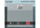 Taylor Digital Bath Scale 550 Lb., Gray &amp; Silver