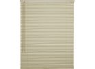 Home Impressions Light Filtering Cordless Mini Blind Ivory