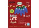 J Hofert Blue 25-Bulb C9 LED Light Set