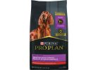 Purina Pro Plan Sensitive Skin &amp; Stomach Dry Dog Food
