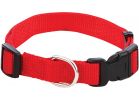 Westminster Pet Ruffin&#039; it Adjustable Nylon Dog Collar Black/Red/Blue