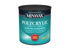 Minwax Polycrylic 111110000 Protective Finish, Ultra-Flat, Liquid, Clear, 1 gal Clear (Pack of 2)