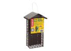 Stokes Select 38129 Suet Buffet Bird Feeder, Solid Steel, 12.3 in H (Pack of 2)