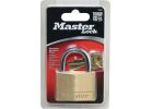 Master Lock Solid Brass Keyed Padlock